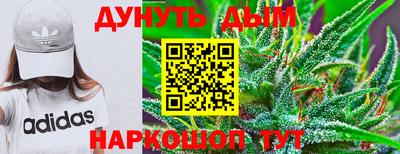 дживик Дубна