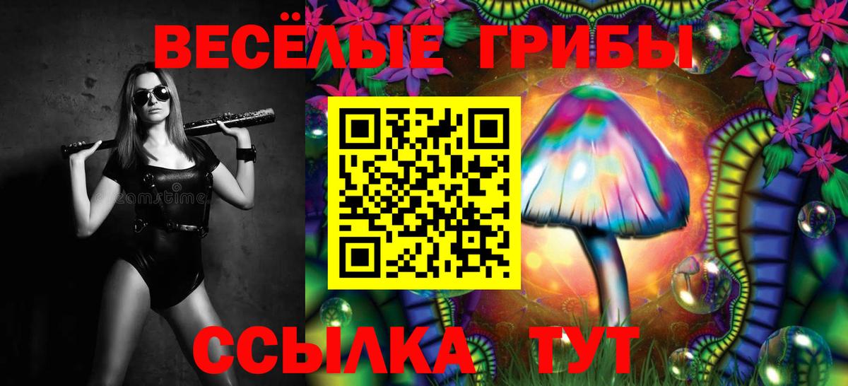 Псилоцибиновые грибы Cubensis  Вход с VPN  Михайловск 