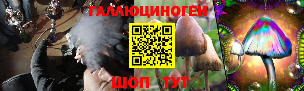 Галлюциногенные грибы Psilocybine cubensis Михайловск